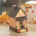 Load image into Gallery viewer, Pink House LED Light Up Decoration
