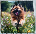 Load image into Gallery viewer, Bounding Dog Scene Cushion Cover 45x45cm-Brand New
