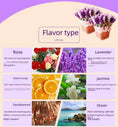 Load image into Gallery viewer, Wholesale 12 Pieces 3ML Aromatic Essential Oil Fragrance Liquid Water Soluble Indoor Fragrance MSDS All English
