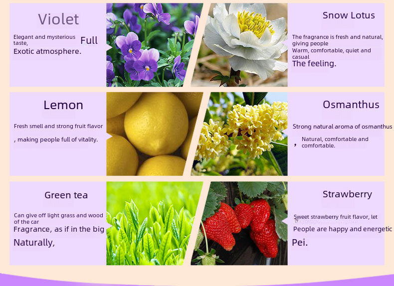 Wholesale 12 Pieces 3ML Aromatic Essential Oil Fragrance Liquid Water Soluble Indoor Fragrance MSDS All English