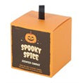 Load image into Gallery viewer, Spooky Spice Cinnamon Candle
