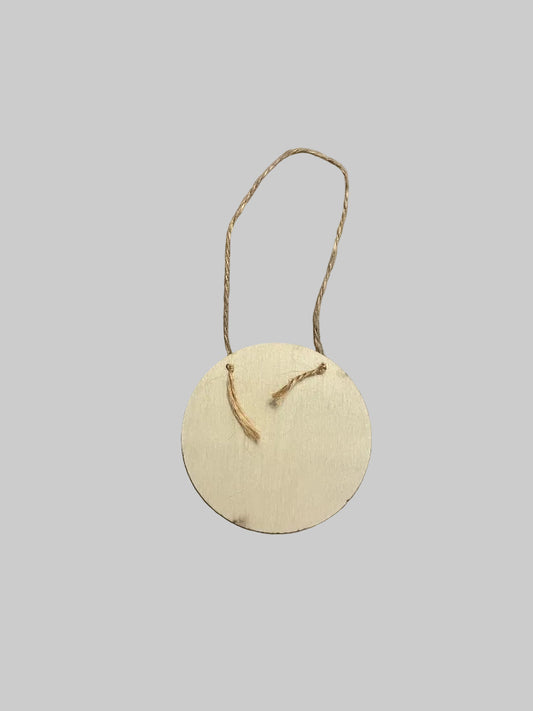 2D Flat Wooden Round Humorous Plaque with Rope "Welcome to the Bathroom" 10cm diameter